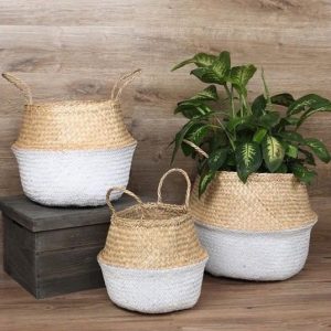 Canasto Natural con Blanco