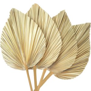 Hoja Modelo Silvestre